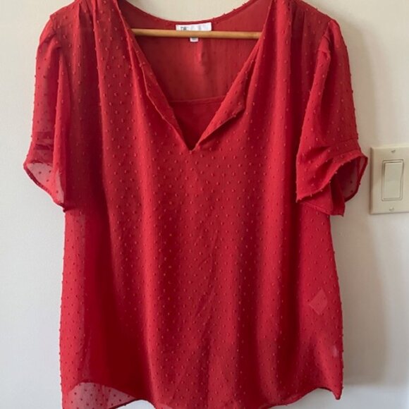 DR2 2- pc Burnt Orange Blouse/Camisole Cap Sleeves Size XL - Picture 1 of 9